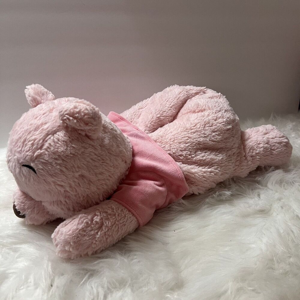 Disney Plush Winnie the Pooh Sakura 2020 Spring Tissue Box Cover Pink Nursery